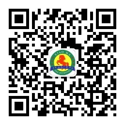 20160112152003263541385274-pcactivity.jpg