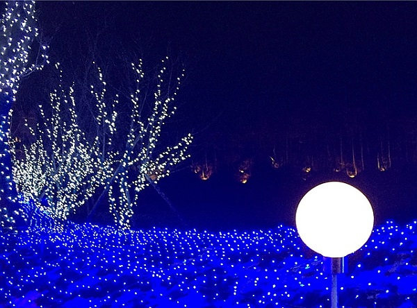 2015122817125684997525_640.jpg
