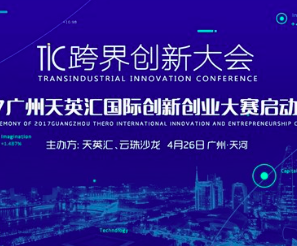 TIC紴´ - 2017Ӣʴ´ҵ