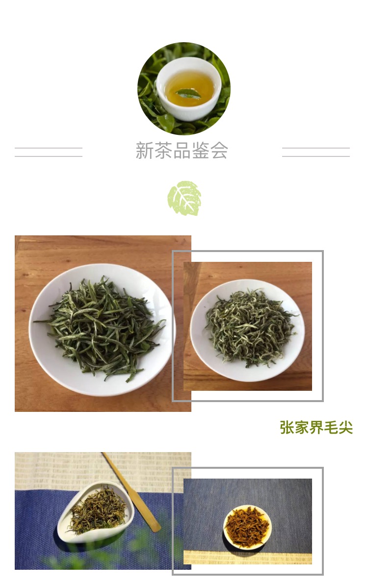 WeChat Image_20170414162555.jpg